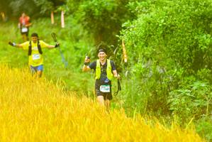 BIB: 
                            <button type="button" onclick="openModal(13456304)" class="btn btn-primary btn-sm float-right btn-popup" data-toggle="modal" data-target=".modal-high-quality">
                        <i class="fas fa-shopping-cart"></i> Add to Cart
                    </button>
                                            <button type="button" onclick="isThisMe(13456304, true)" class="btn btn-success btn-sm float-right btn-popup btn-isme hidden" data-toggle="tooltip" data-placement="bottom" title="นี่คือรูปของคุณใช่ไหม คลิกที่นี่เพื่อเอาเข้าอัลบั้ม">
                        <i class="fas fa-plus"></i> Add to album
                    </button>
                    <button type="button" onclick="isThisMe(13456304, false)" class="btn btn-warning btn-sm float-right btn-popup btn-isnotme hidden">
                        <i class="fas fa-ban"></i> Remove from album
                    </button>